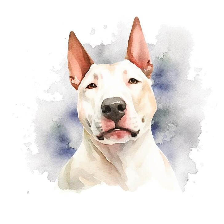 Watercolor painting of a Bull Terrier dog, on a white background, with blue watercolor splotches