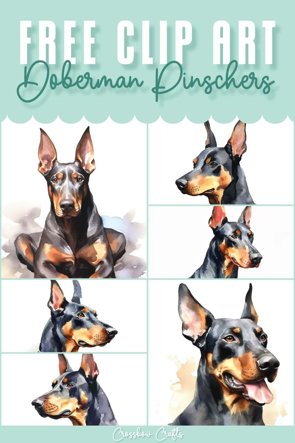 Pin graphic with text showing multiple pieces of free watercolor Doberman Pinscher clip art
